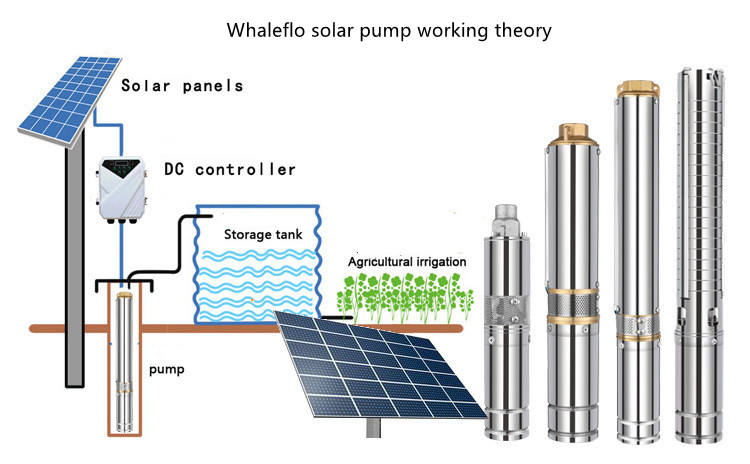 MPPT 컨트롤러가 있는 Whaleflo 새로운 태양광 펌프
